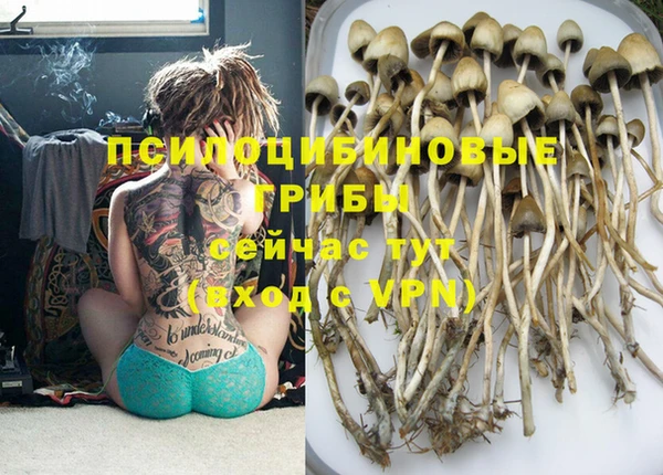 мдпв Майский