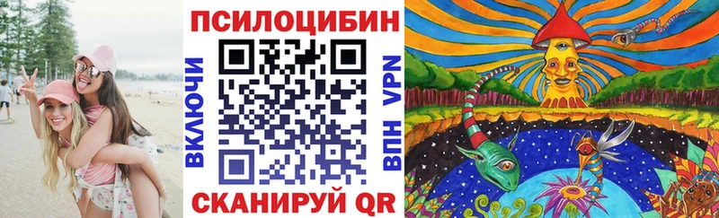 что такое   Электросталь  Галлюциногенные грибы MAGIC MUSHROOMS 